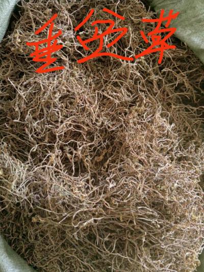 垂盆草