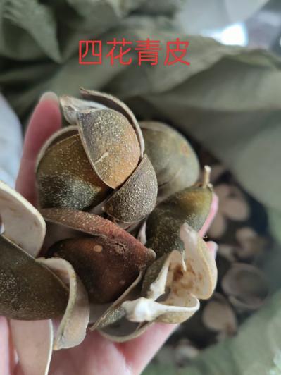 四花青皮