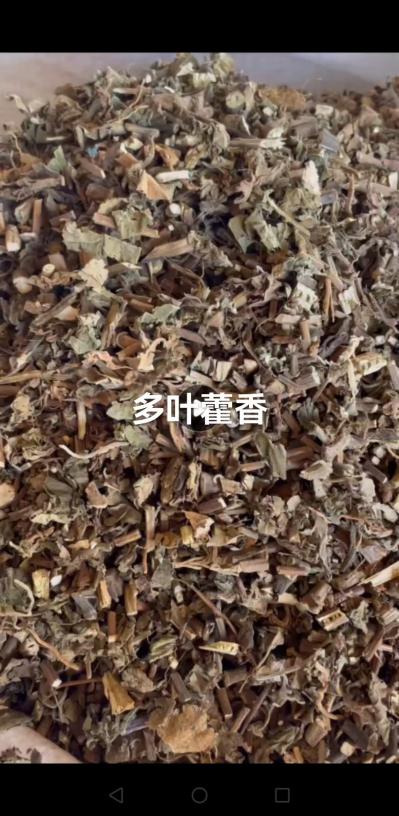 多叶霍香