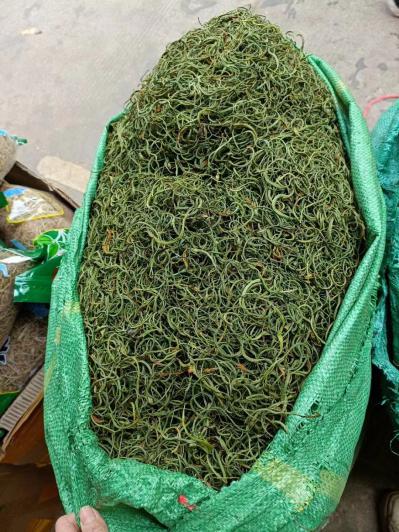 小叶化石草