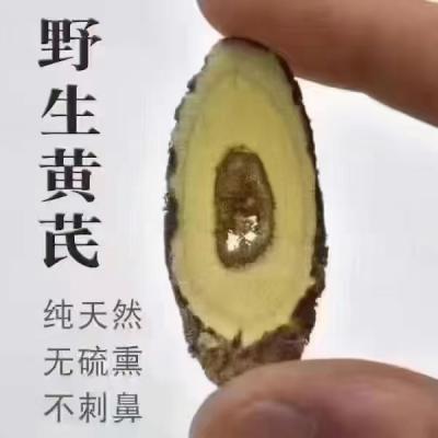 野生黄芪
