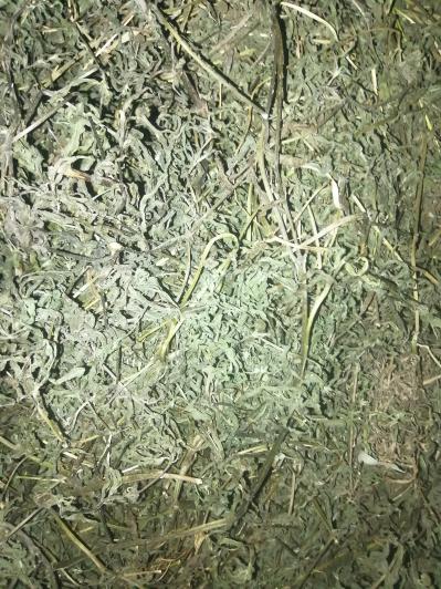 墨旱莲出货，价格可商量。