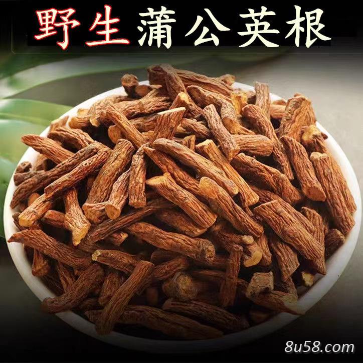 蒲公英根