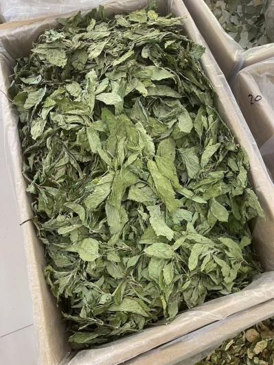 薄荷叶