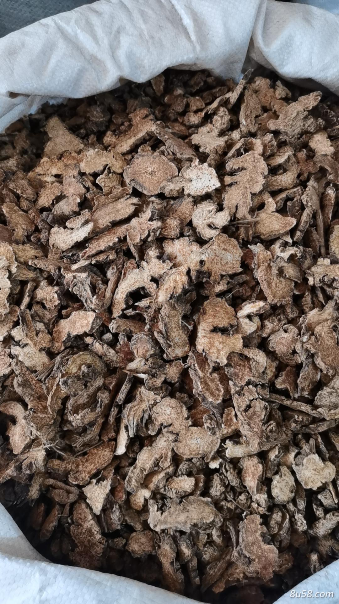 苍术