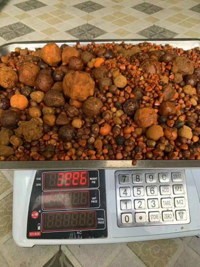 天然牛黄