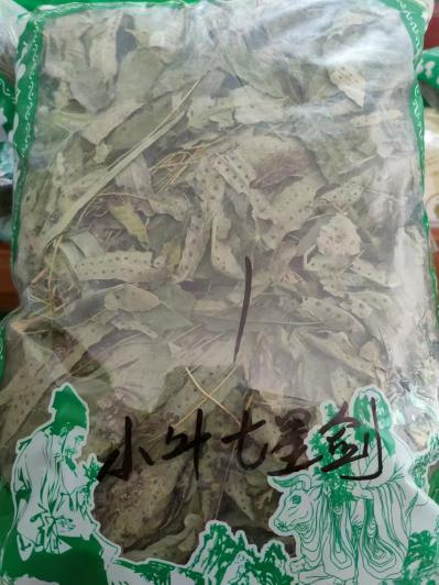 小叶七星剑