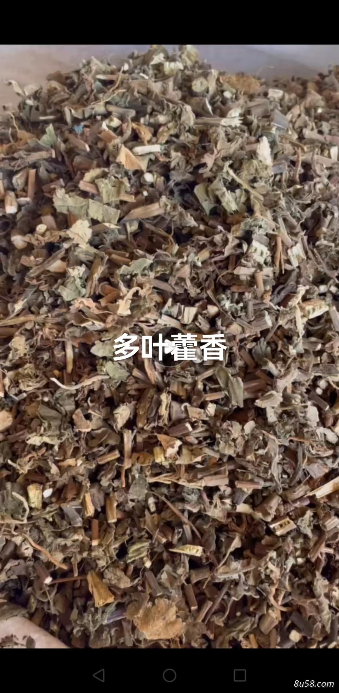 霍香