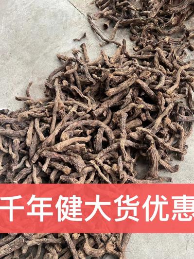 千年健