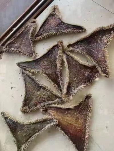 刺猬皮（炒）