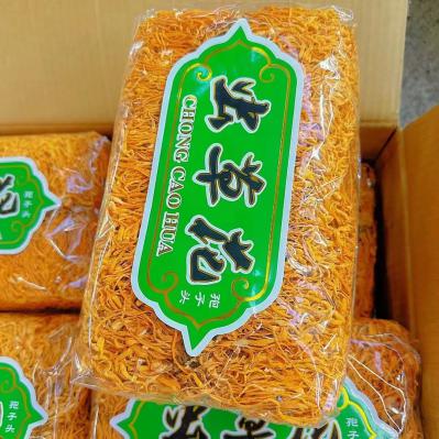 虫草花