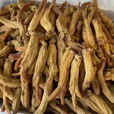 高丽参