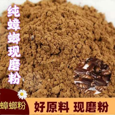 蟑螂粉