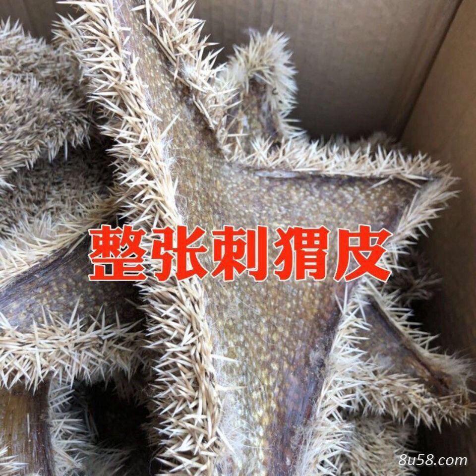 刺猬皮