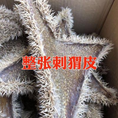 刺猬皮