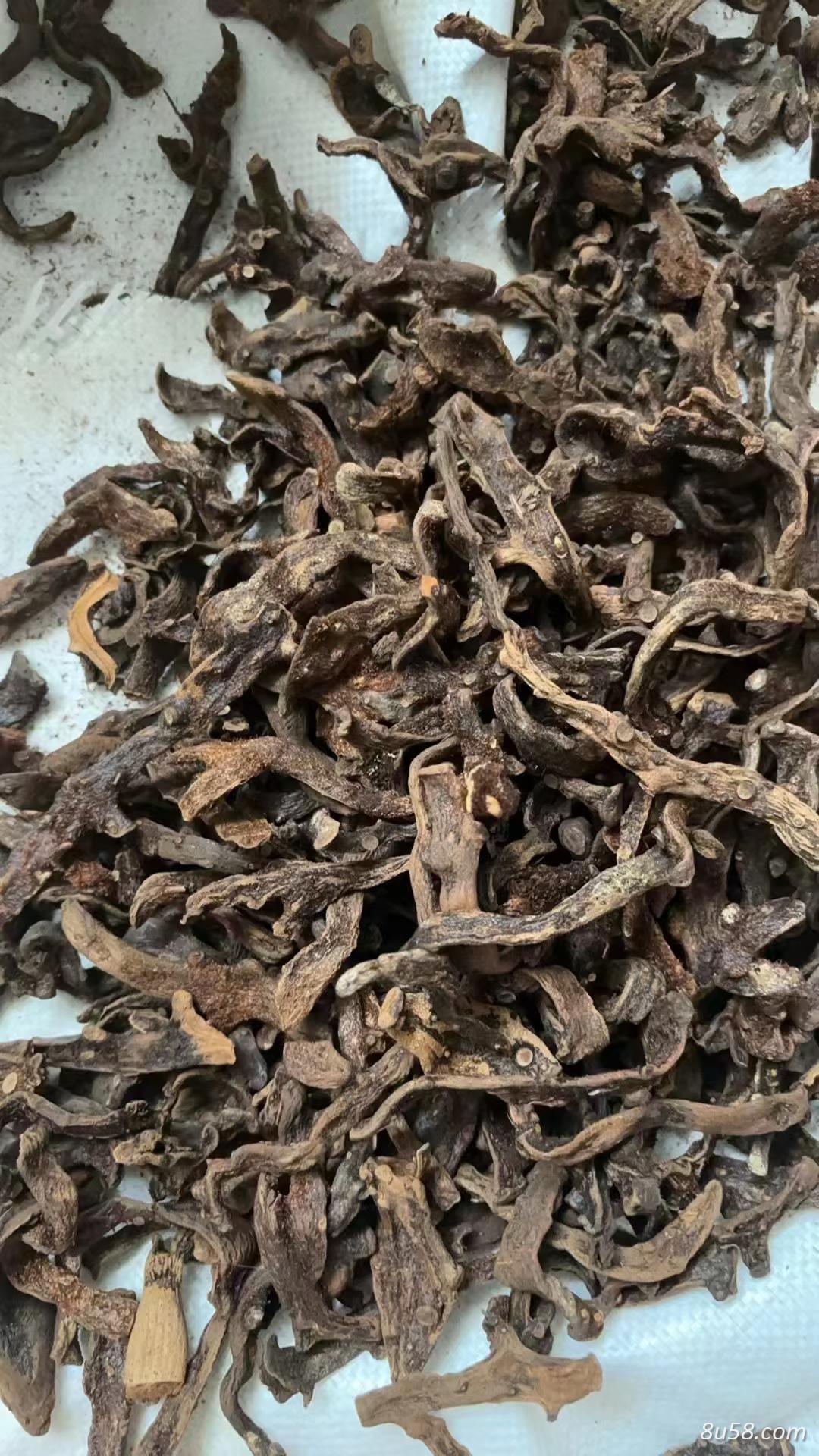 骨碎补