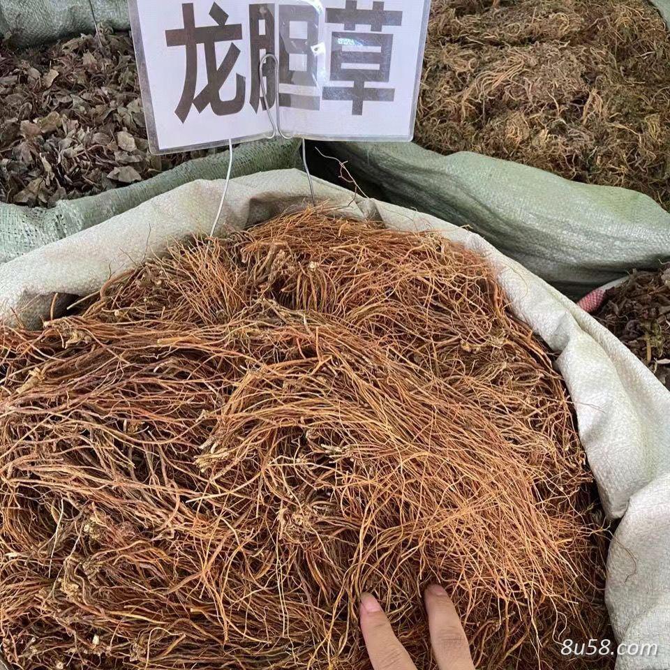 龙胆草