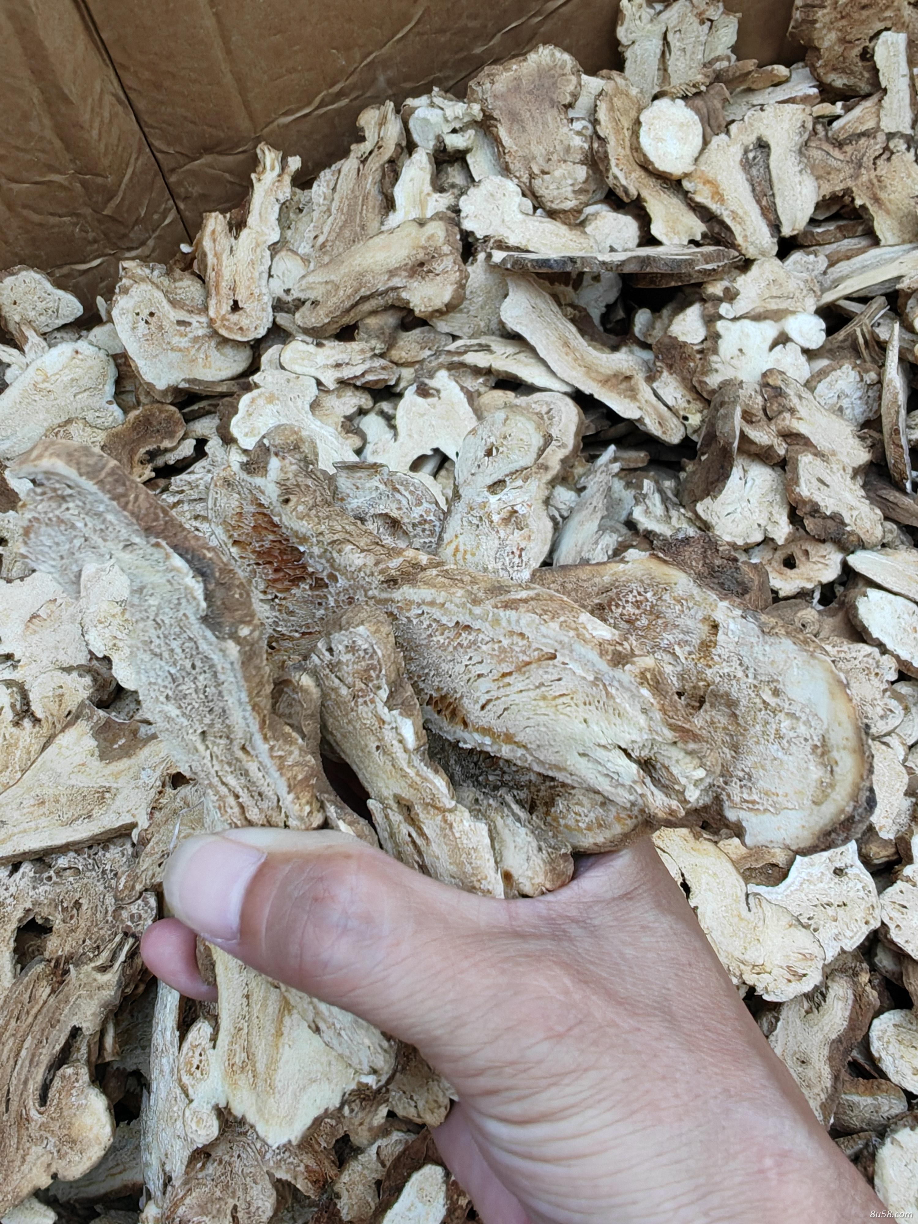 哪里有卖白术的？白术的价格是多少？白术的功效和作用是什么？