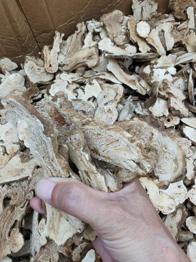 哪里有卖白术的？白术的价格是多少？白术的功效和作用是什么？