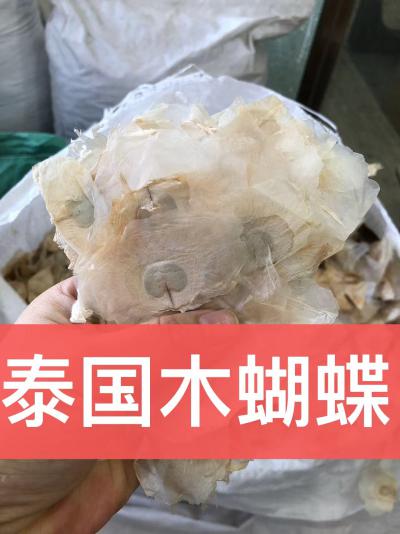 木蝴蝶