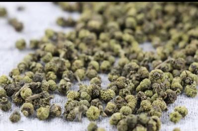 出售中花吴茱萸