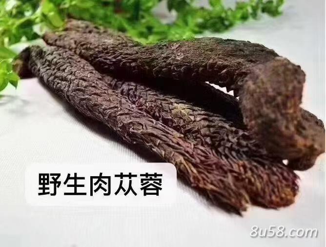 肉苁蓉