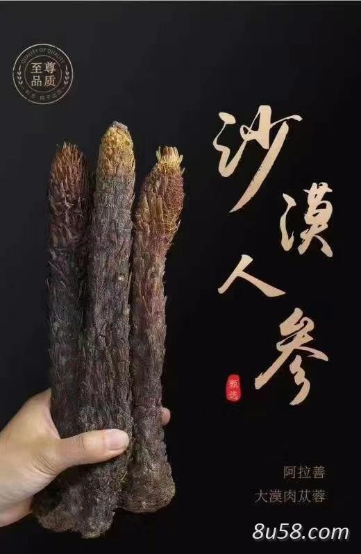 肉苁蓉