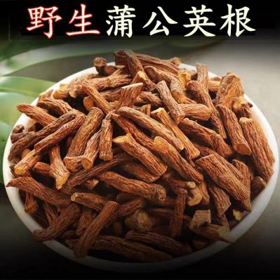 蒲公英根