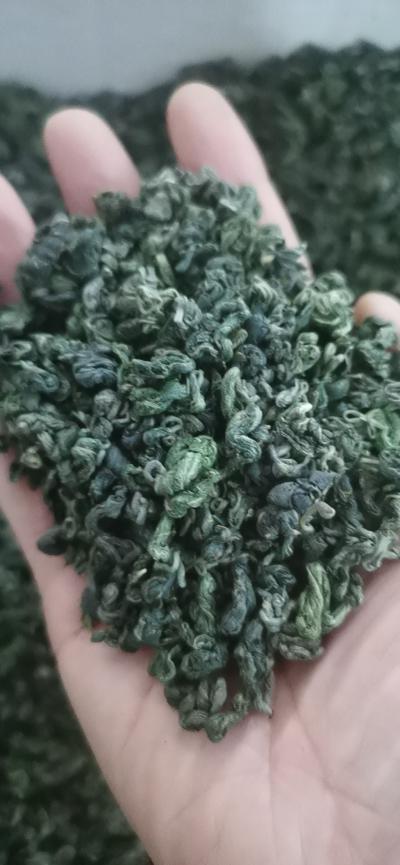桑叶茶