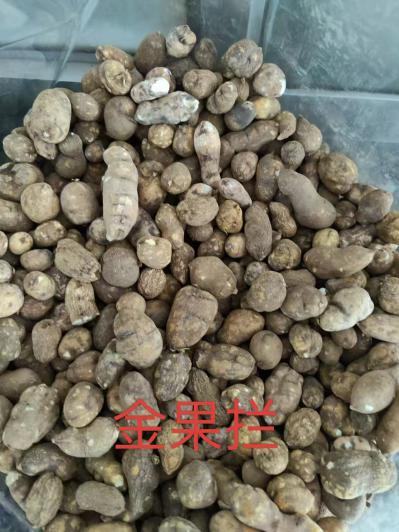 金果榄