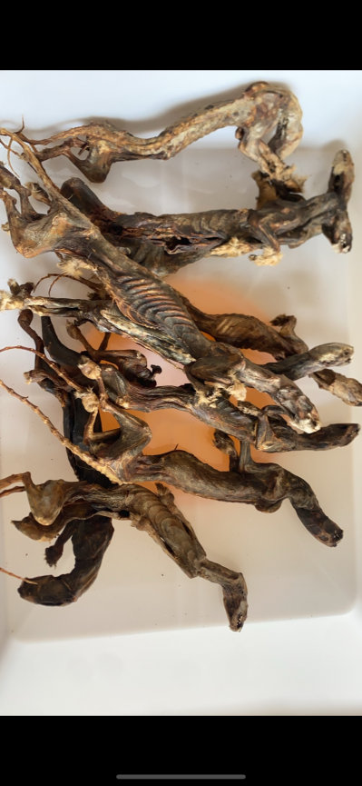 黄鼠狼风干肉如何做成胶囊，黄鼠狼风干肉如何加工成干粉