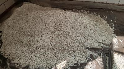大量茯苓干货出售