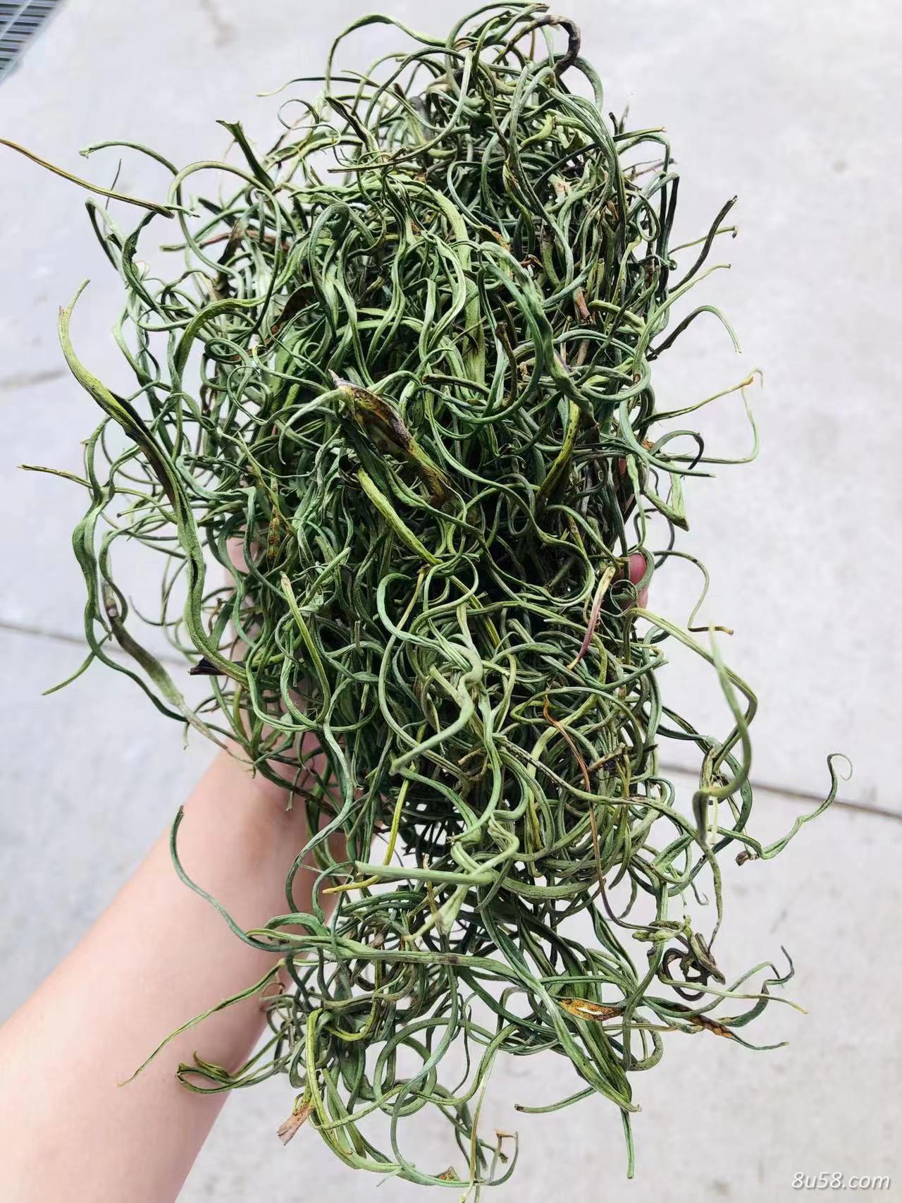 化石草