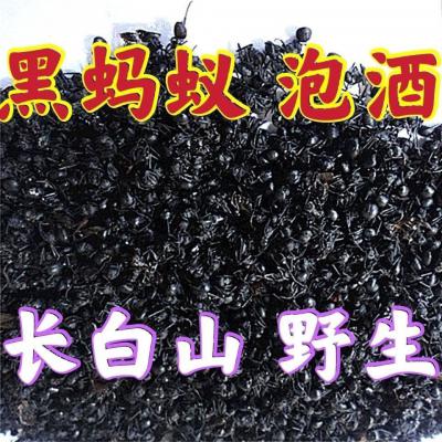 黑蚂蚁产地是哪里的？黑蚂蚁的功效是什么？多少钱一斤？论克卖又是怎么卖的？