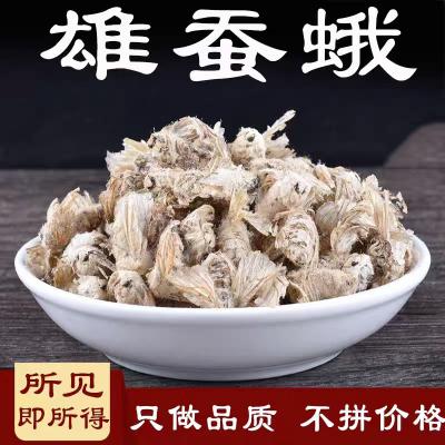 雄蚕蛾