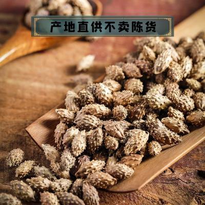 苍耳子