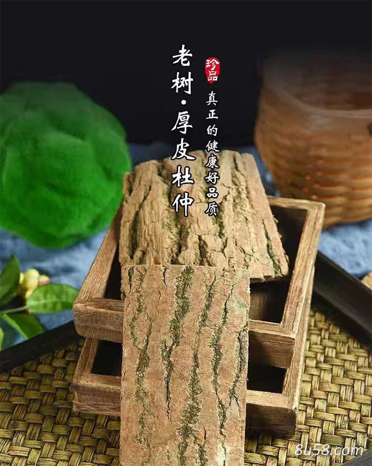 杜仲