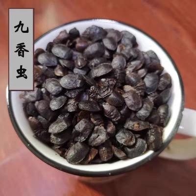 九香虫