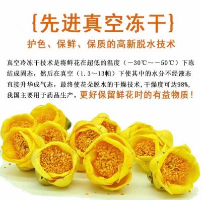 金花茶