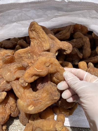 鸡头黄精