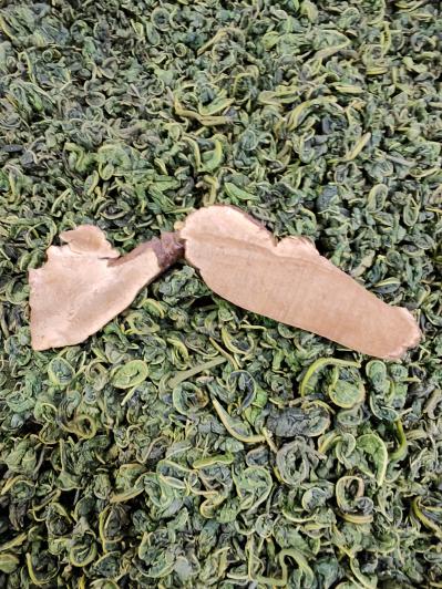 桑叶茶