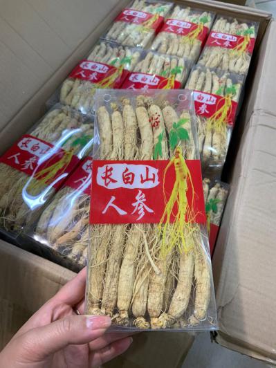 长白山人参