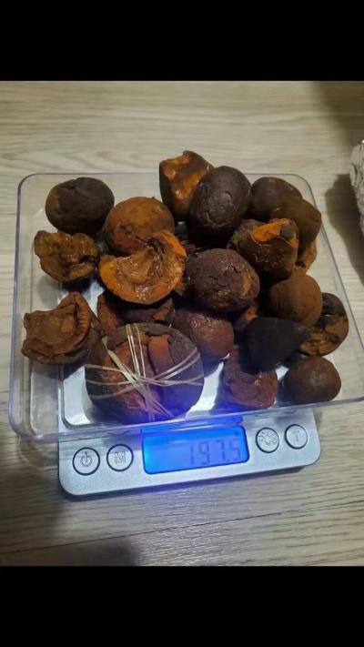 天然牛黄