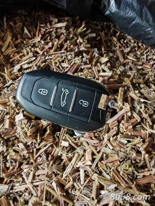 薄荷