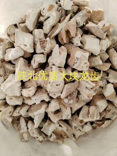 龙齿