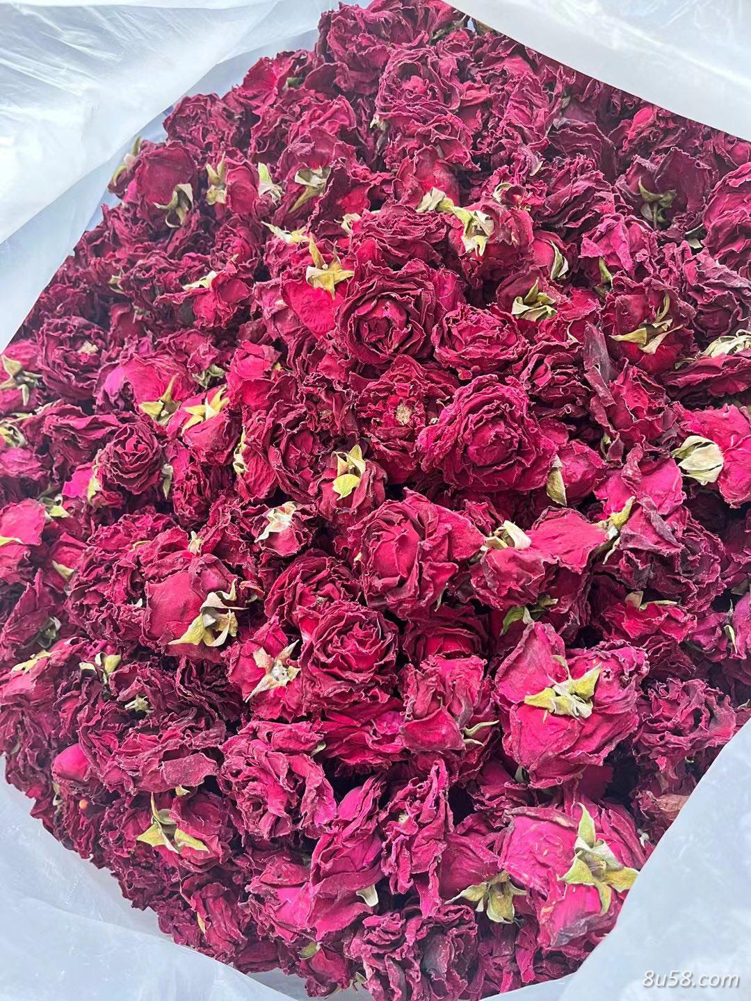 墨红玫瑰