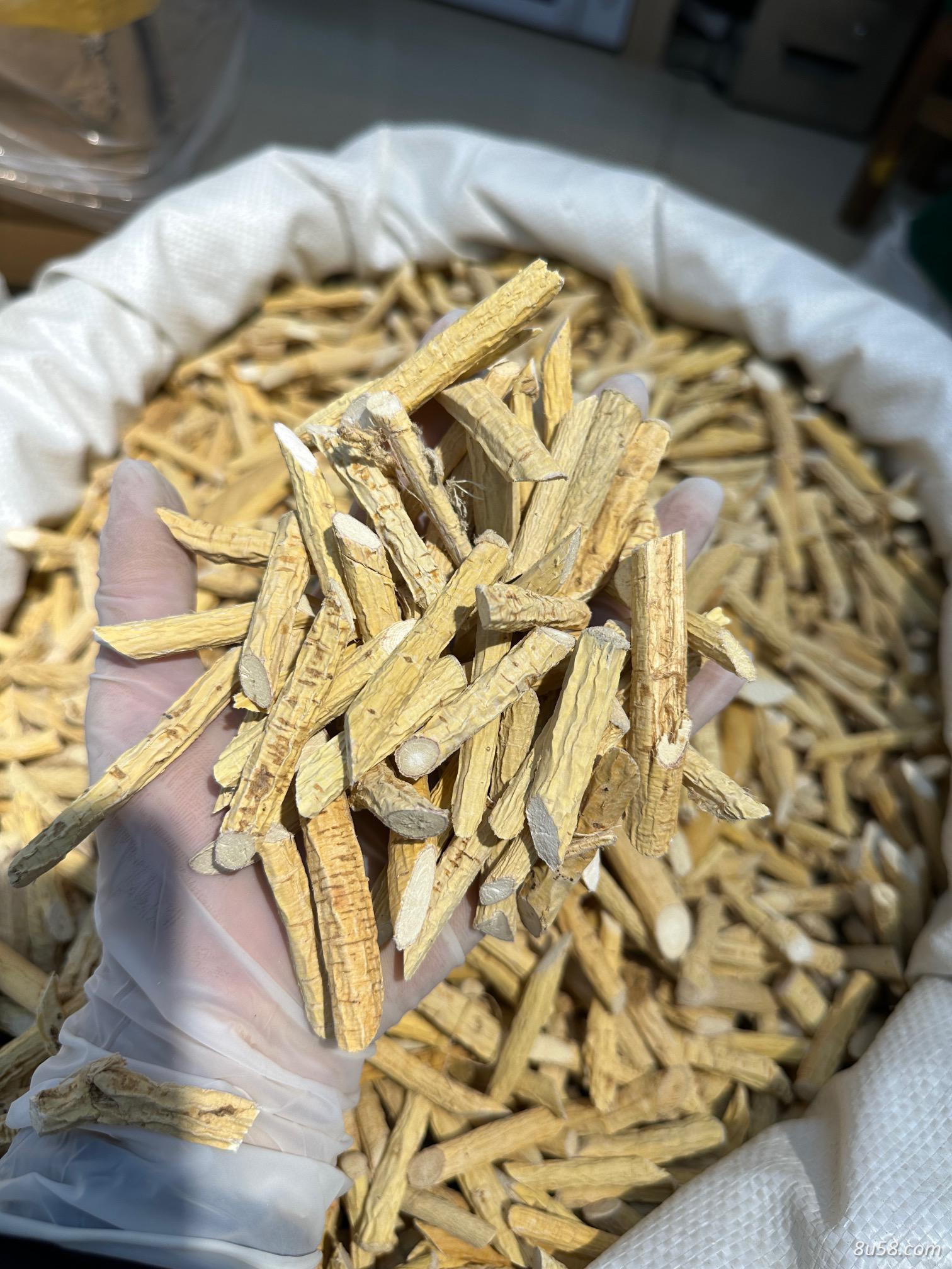 五指毛桃
