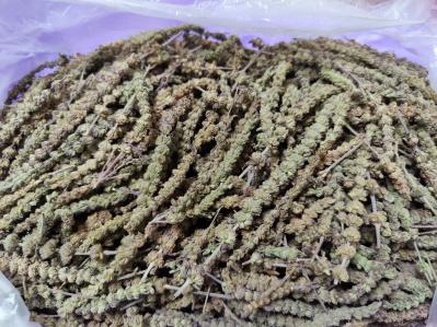 芥穗：规格齐全，价格不一，下单询价