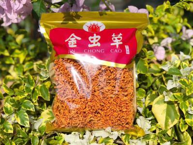 虫草花
