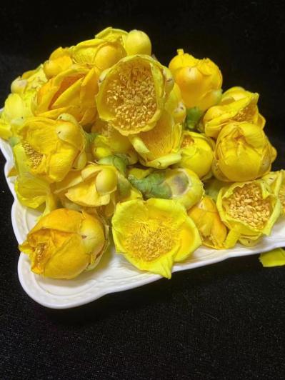 金花茶